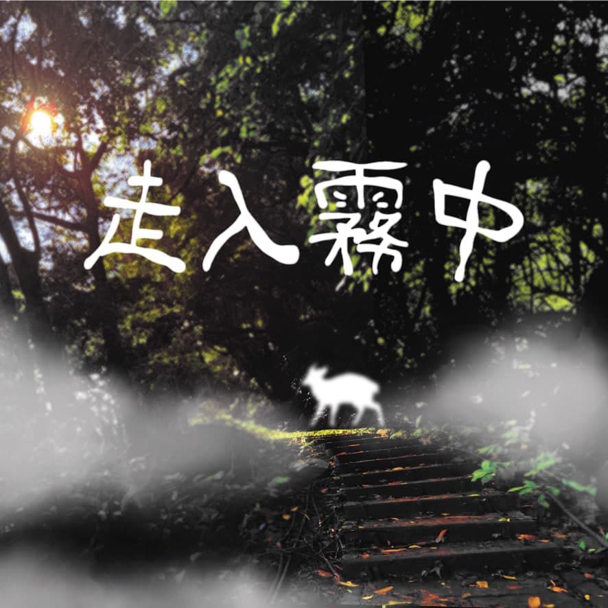 走入霧中